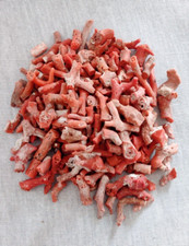 Branche non polie de corail