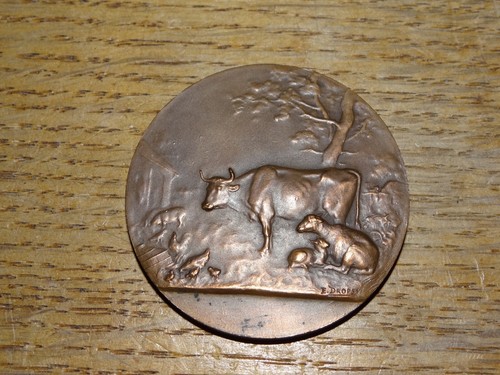 Jolie médaille bronze - jolie, les