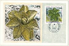 2002-Carte Maximum-TAAF-Chou de Kerguelen-Illustrateur'Véret.Lemarinier-Yt.333