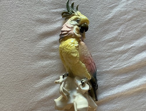 Karl ens oiseau - ens,
