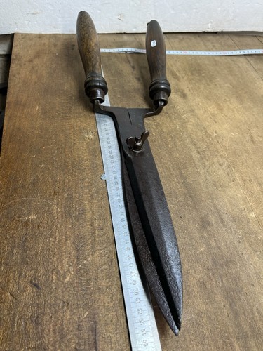 Cisaille coupe buis - coupe,