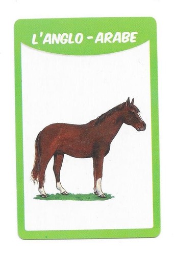 Carte races chevaux - 50,
