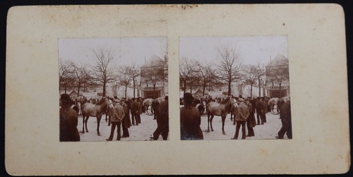 Photo 1880 stéréo niort - 1880,
