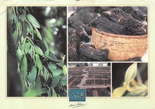 974-LA REUNION VANILLE BOURBON-N�4203-D/0087