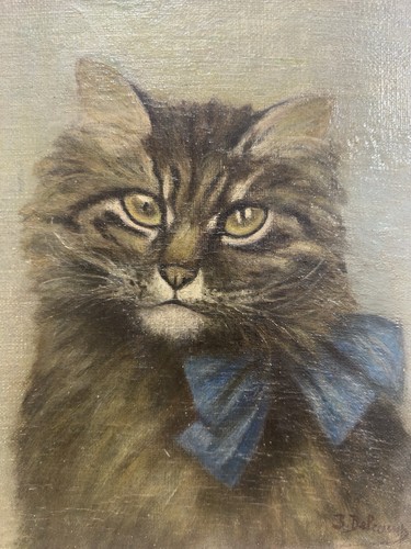 Adorable chat nœud bleu - nœud,