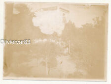 Vintage sepia photo mistake lack of emulsion on garden snapshot