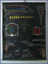 affiche scolaire planche pédagogique DR: AUZOUX P.SOUGY sauterelle S44  