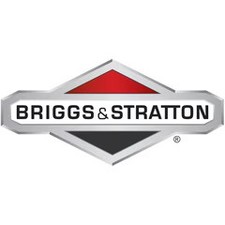 Briggs & Stratton Piston