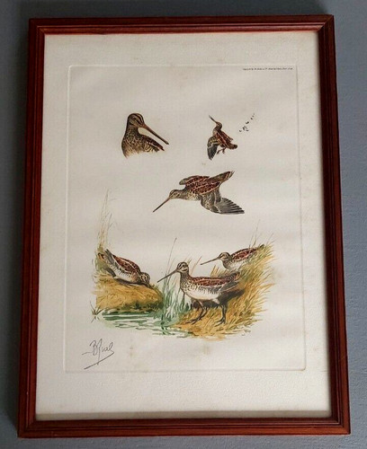 Lithographie étude - lithographie, de