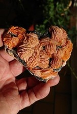 Barytine cerusite galène