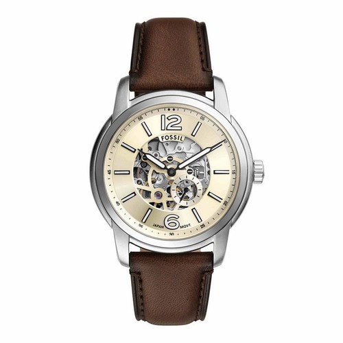 Fossil heritage skeleton - fossil,