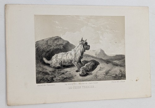 Gravure chasse laroche le - gravure,