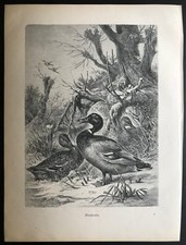 Gravure sur bois, chasse