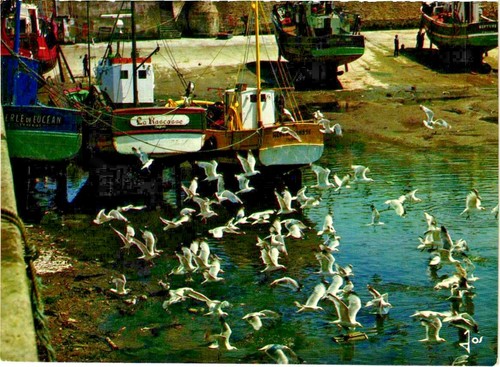 Turballe maree - .., ..