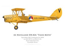 Print Tiger Moth, No 002