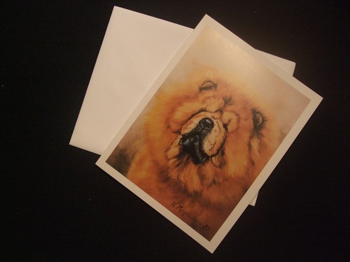 Lot cartes enveloppes - +,