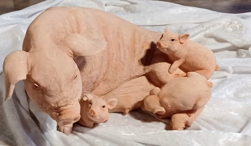 Cochon allaitant ses 3 - allaitant,