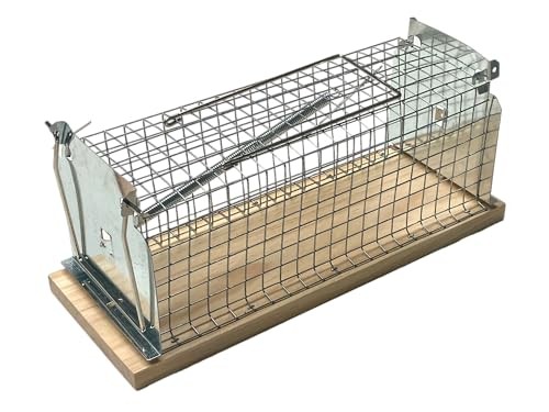 Caussade nasse rats - nasse, à