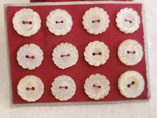 Rare petite plaque boutons anciens en nacre  1,2 cm  lot de 12 n°2l