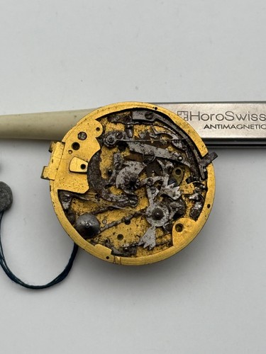 Montre chaîne serpentine - chaîne,