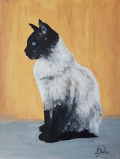 Chat siamois Peinture à
