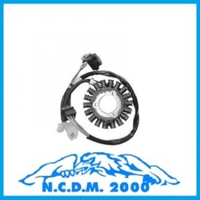 STATORE MAGNETE VOLANO PGO