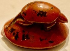 JAPON NETSUKE TORTUE BOIS EDO MEIJI TURTLE CARVED WOOD ANTIQUE JAPANESE