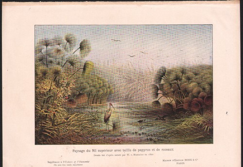 1903 gravure originale - originale, paysage