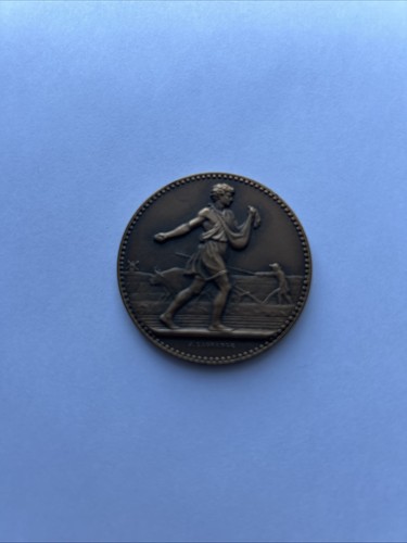 Medaille bronze le conseil - bronze,