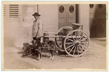 Suisse, Lucerne, voiture du laitier Vintage print  Tirage albuminé  10x15 