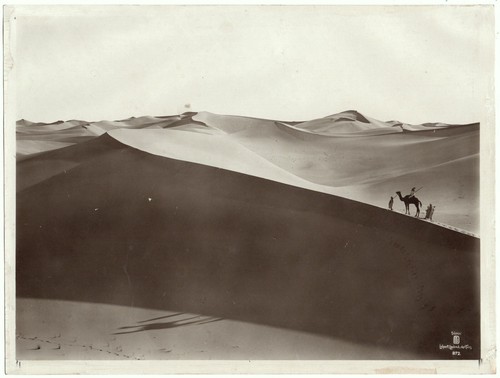 Lehnert landrock tunis - landrock,
