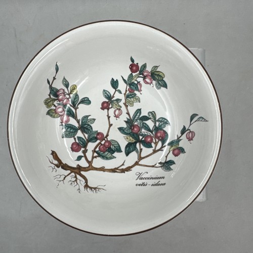 Villeroy boch botanica 5 - &,