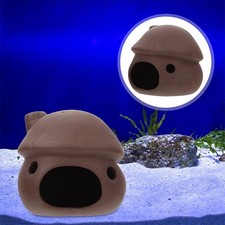  Maison À Poissons Cichlidés