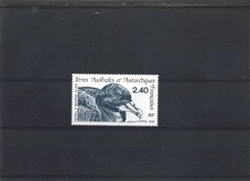 TAAF -N° 204 - Pétrel à menton blanc