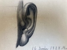 Beau Grand Dessin antique Oreille Anatomie 1828 Portrait Crayon XIXe Curiosité