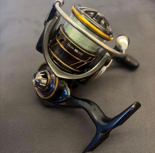 Moulinet toupie daiwa caldia - daiwa,