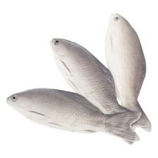  3 Pcs Fish Display Lifelike Modèle D'affichage De Poisson Jouet Ornement Du