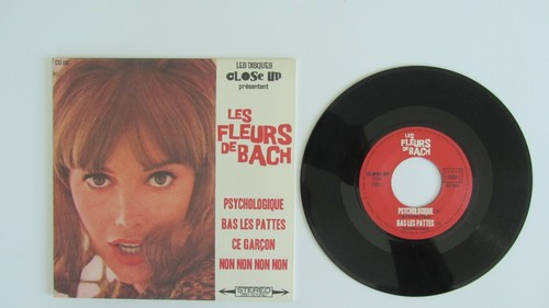 Les fleurs bach - fleurs,