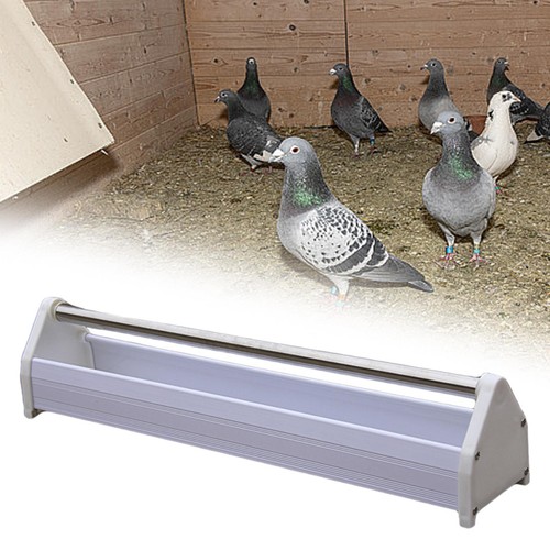 Mangeoire pigeons - à,