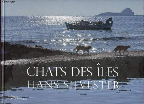 Chats des îles silvester - chats,