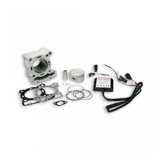 Cylindre Malossi pour Moto