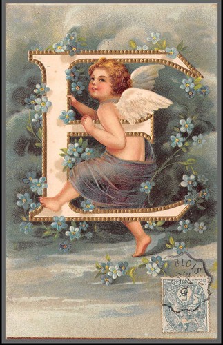 49456 111 blanc 1905 - blanc,