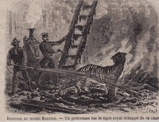 1868  --  INCENDIE DU MUSEE BARNUM UN POLICEMAN TUE DE TIGRE ROYAL ECHAPPE 3B699