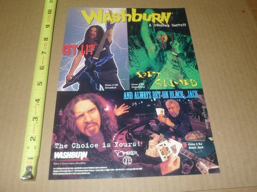 Pantera washburn guitars print - pantera,