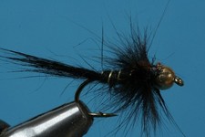 Fliegentom 3 piéces Oreille