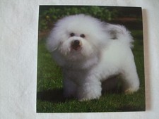 Carnet aimanté à feuilles -