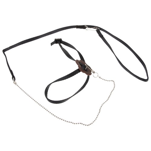 Laisse dressage corde - laisse,