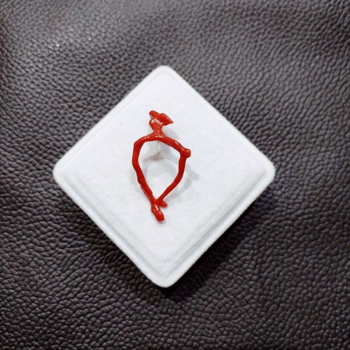Ancienne branche corail - branche,