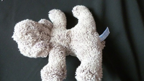 Doudou nounours chien - ,