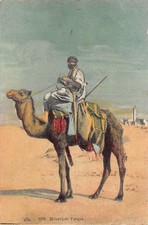 Algérie - Méhariste Targui -